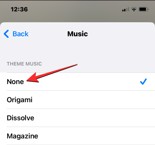 iPhone上视频循环播放的完整指南