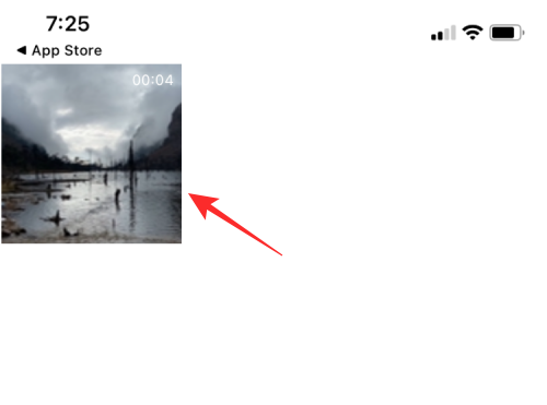 iPhone上视频循环播放的完整指南