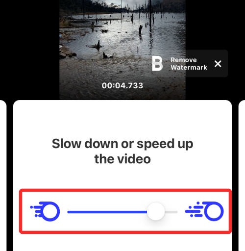 iPhone上视频循环播放的完整指南