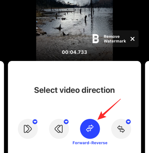 iPhone上视频循环播放的完整指南
