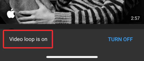 iPhone上视频循环播放的完整指南