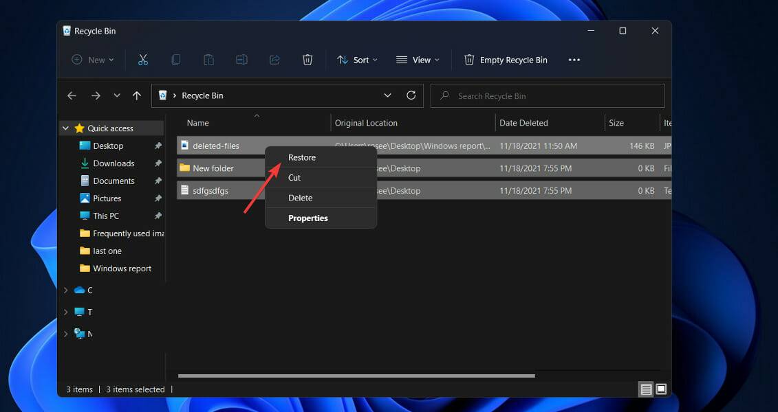 Windows 11中如何恢复已删除的文件