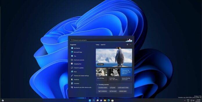 微软将为所有 PC 推出 Windows 11 新搜索功能。