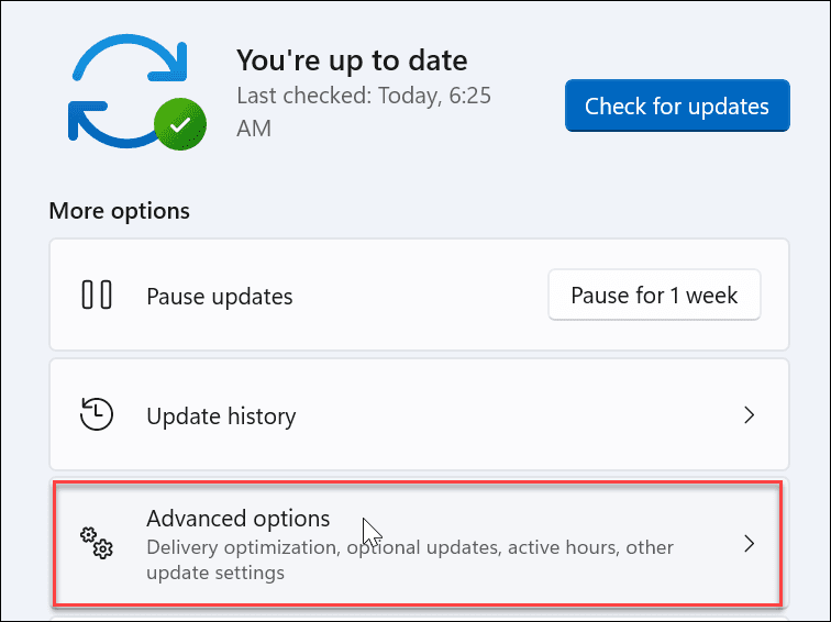 如何在 Windows 11 上禁用传递优化功能？