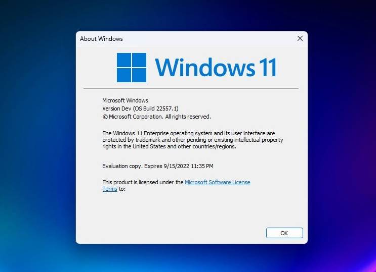 如何在Windows 11 22H2中将云母/亚克力设计应用到更多的Win32桌面应用程序？