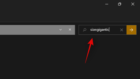 如何在 Windows 11 中进行高效搜索？ [4 种解释方法]