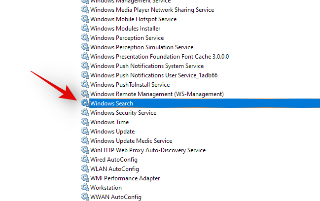 如何在 Windows 11 中进行高效搜索？ [4 种解释方法]