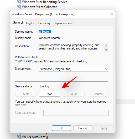 如何在 Windows 11 中进行高效搜索？ [4 种解释方法]
