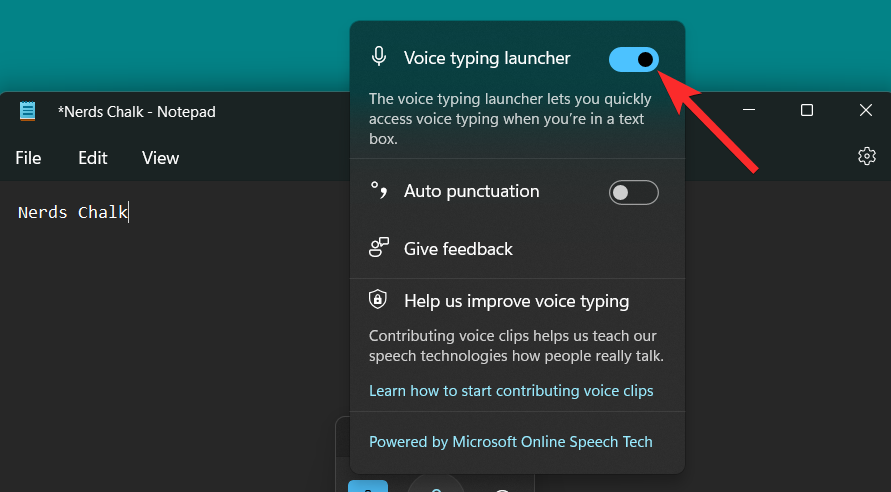 如何在 Windows 11 上关闭语音转文字功能