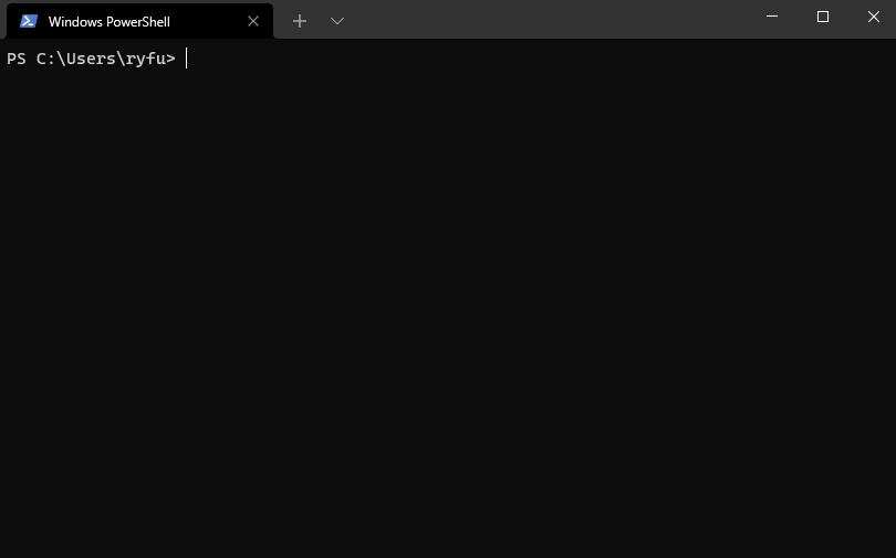 如何在 Windows 10 和 Windows 11 上安装和使用 Windows 包管理器？