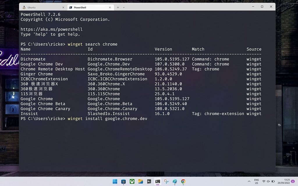 如何在 Windows 10 和 Windows 11 上安装和使用 Windows 包管理器？