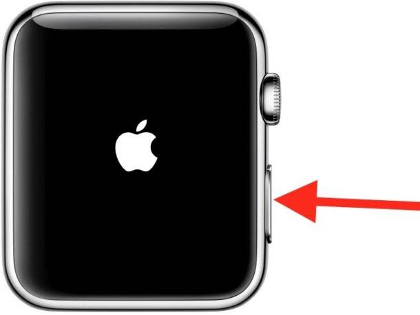 如何启动您的 Apple Watch？