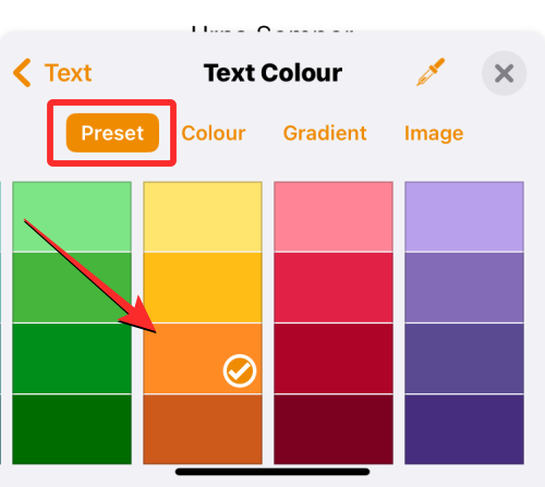 如何在 iPhone 上改变字体颜色？