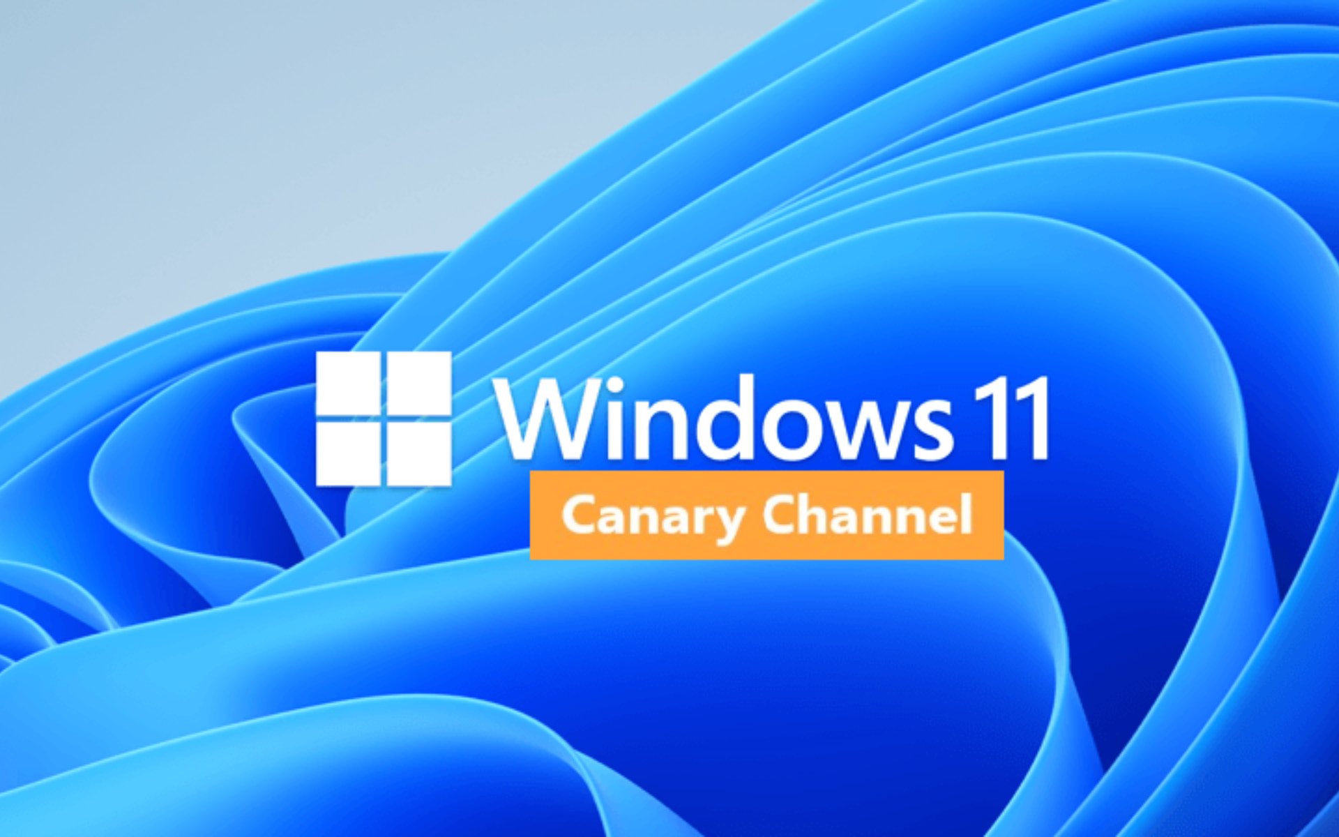 如何在 Windows 11 Build 25330 中卸载相机应用？