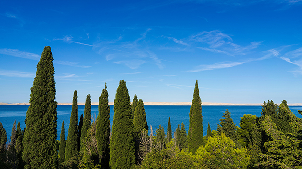 使用Python代码解析层次聚类算法