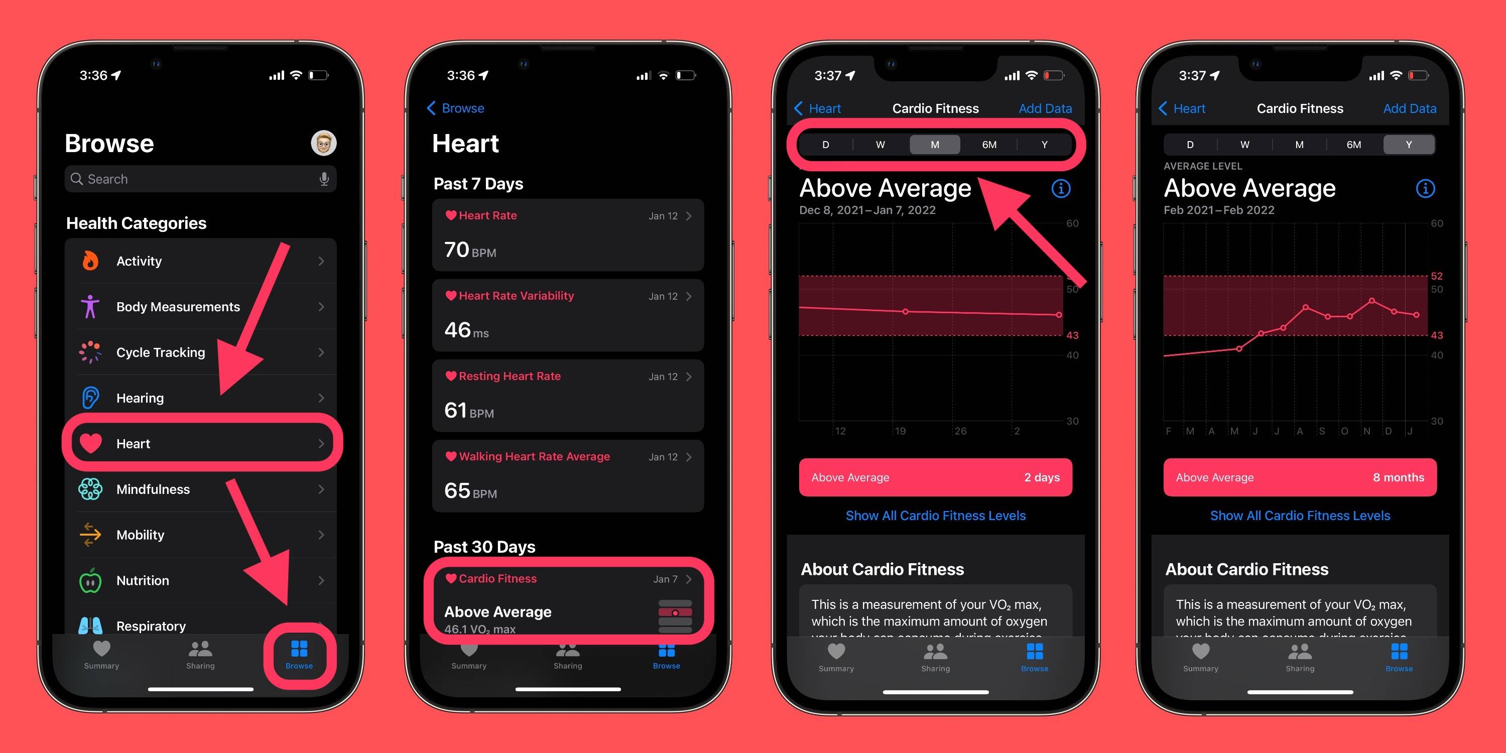 设置和使用 Apple Watch 和 iPhone 中 Cardio Fitness 的指南