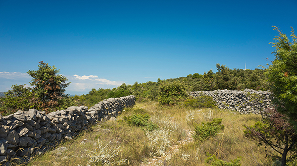 附带详细解释的30道值得练习Python的题目