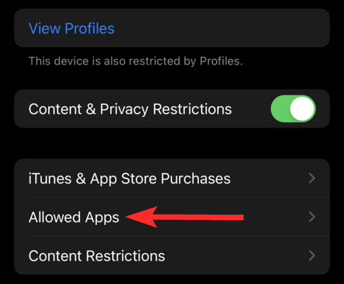 6种方法教你在iPhone和iPad上保护应用程序不被误触