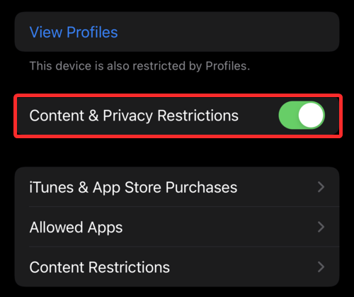 6种方法教你在iPhone和iPad上保护应用程序不被误触