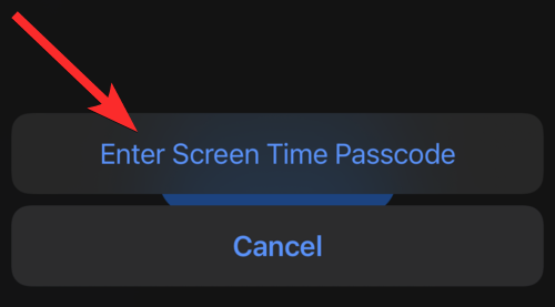 6种方法教你在iPhone和iPad上保护应用程序不被误触