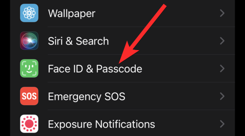 6种方法教你在iPhone和iPad上保护应用程序不被误触