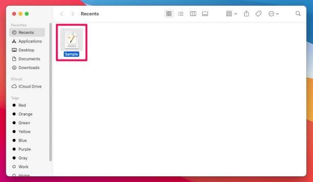 如何在 Mac 上对页面、主题演讲和数字文档进行密码保护?