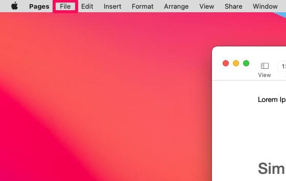 如何在 Mac 上对页面、主题演讲和数字文档进行密码保护?