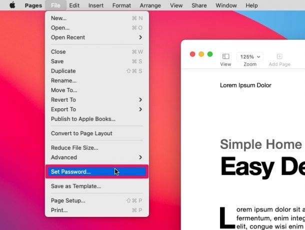 如何在 Mac 上对页面、主题演讲和数字文档进行密码保护?