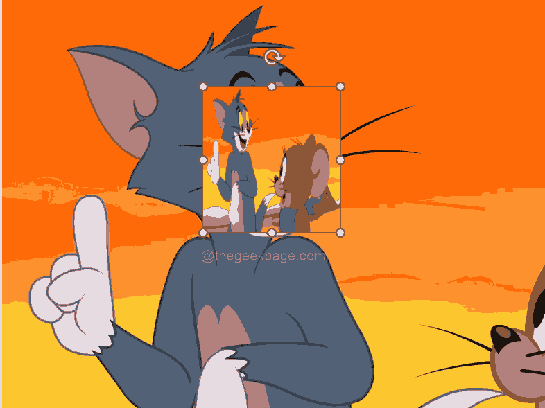 如何在 PowerPoint 中应用模糊效果来隐藏图像的一部分