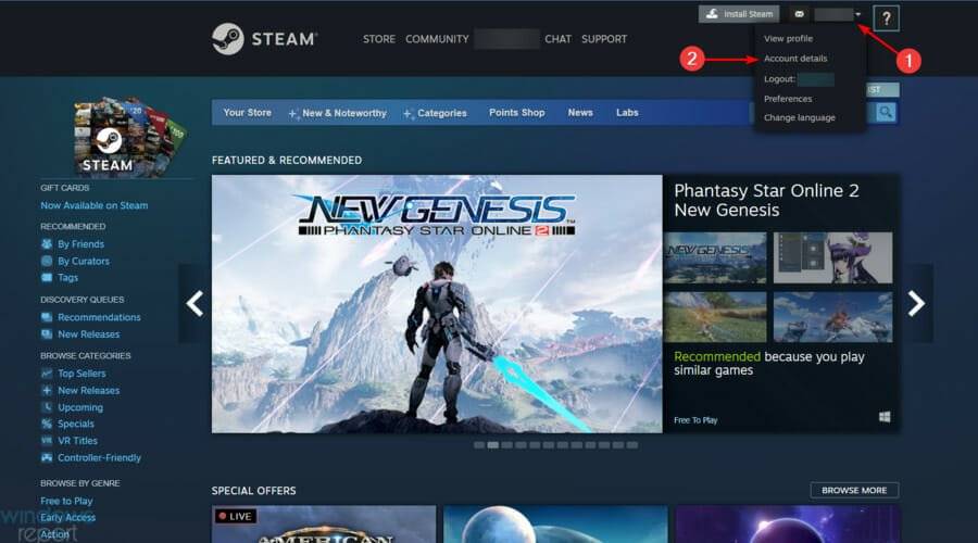 如何解决Steam在使用VPN时出现的问题并畅玩游戏？
