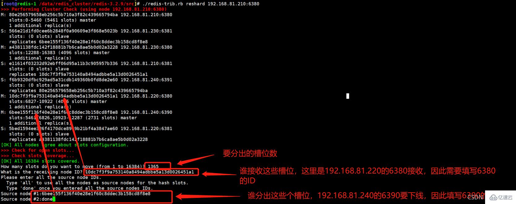 Redis Cluster集群缩容主从节点的步骤