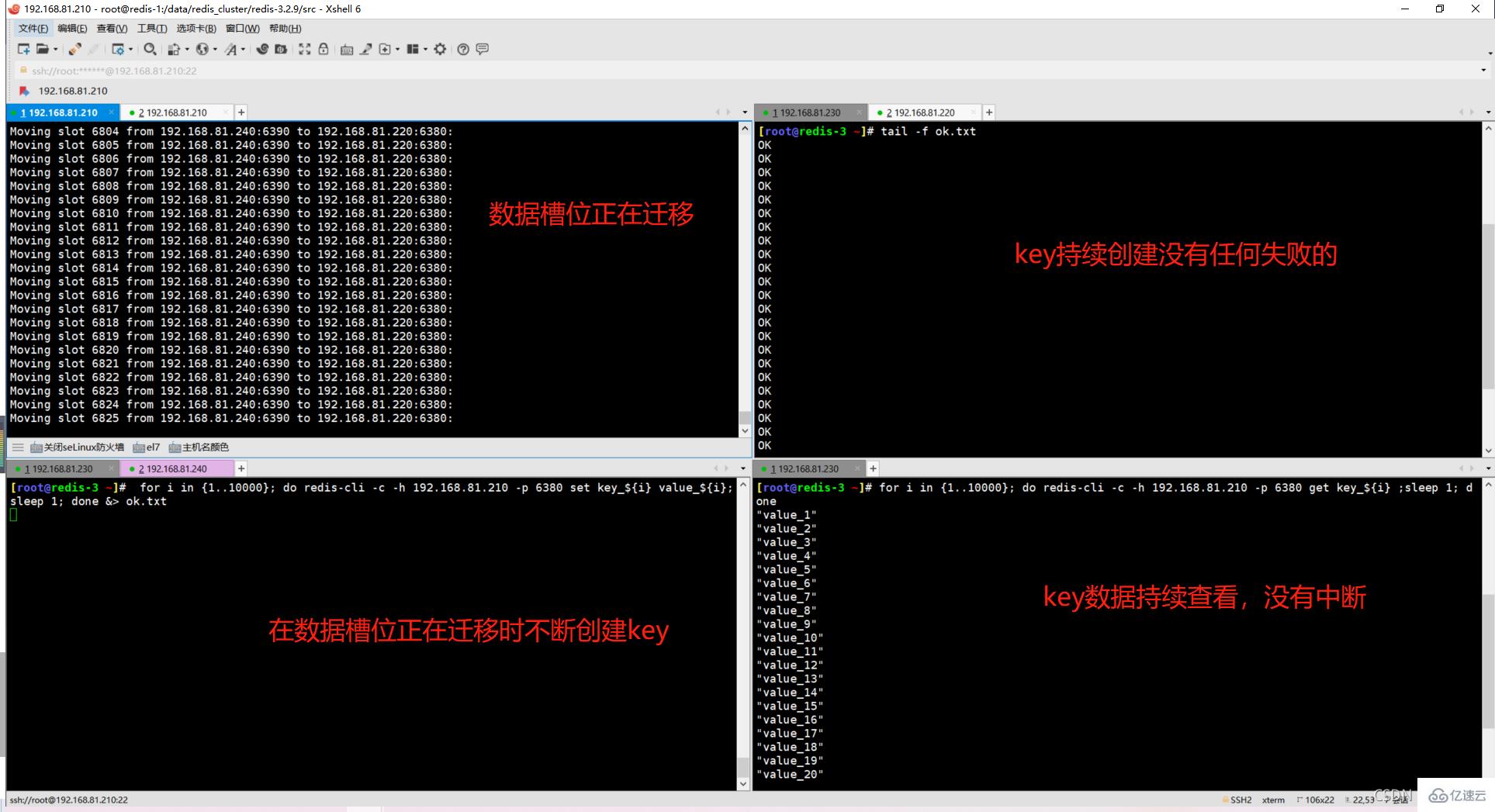 Redis Cluster集群缩容主从节点的步骤
