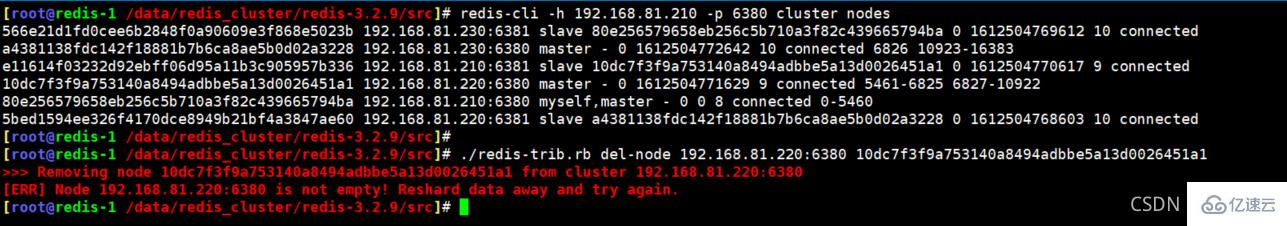 Redis Cluster集群缩容主从节点的步骤