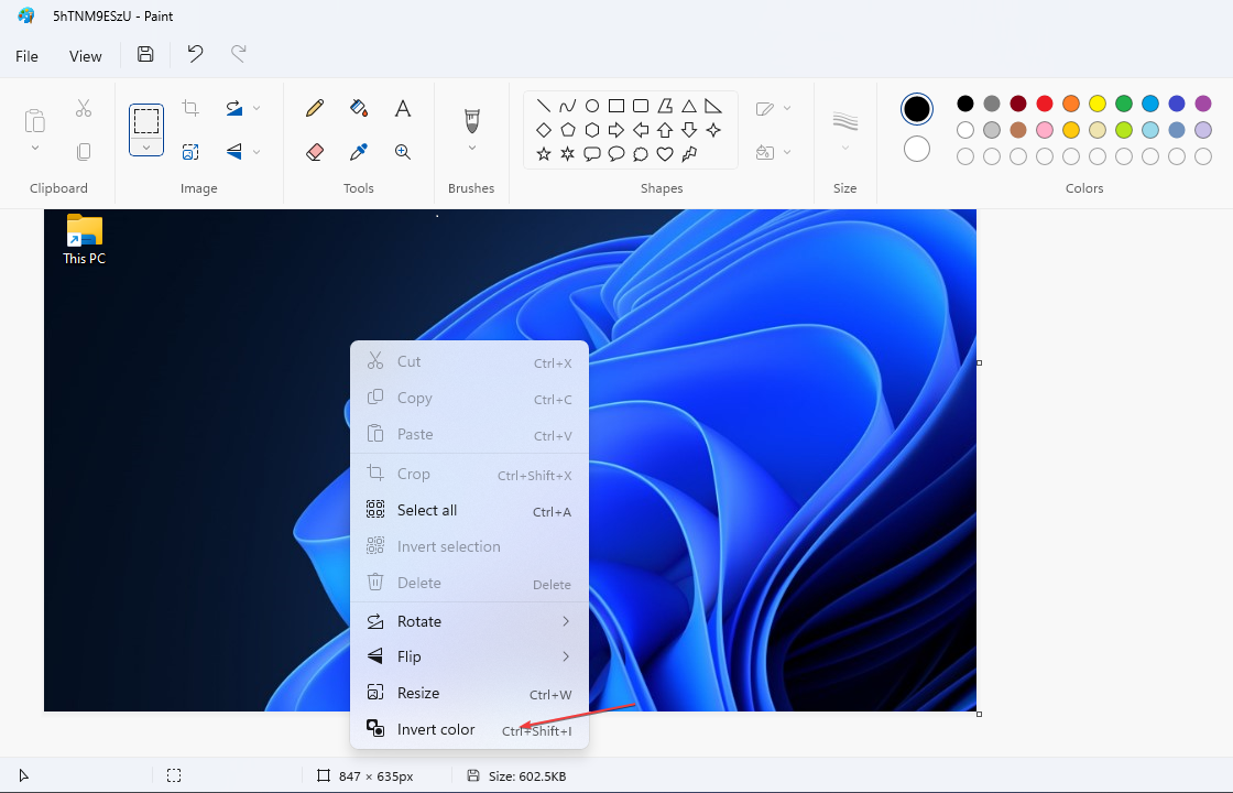 【Windows 11 教程】如何使用快捷方式反转颜色？