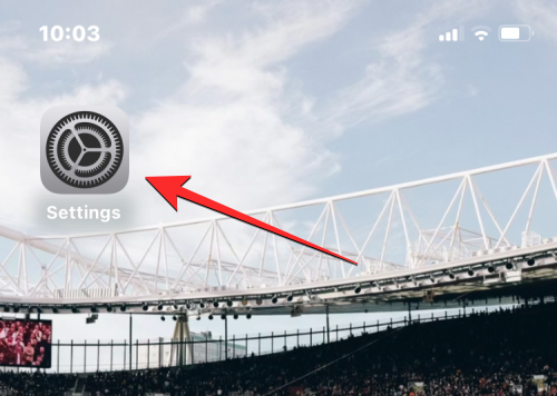 如何清除 iPhone 键盘的输入历史记录?