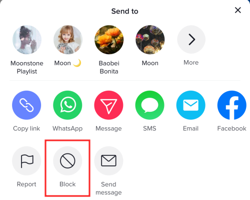 2022 年阻止 TikTok 的 5 种方法，包括您是否已经被阻止