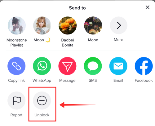 2022 年阻止 TikTok 的 5 种方法，包括您是否已经被阻止