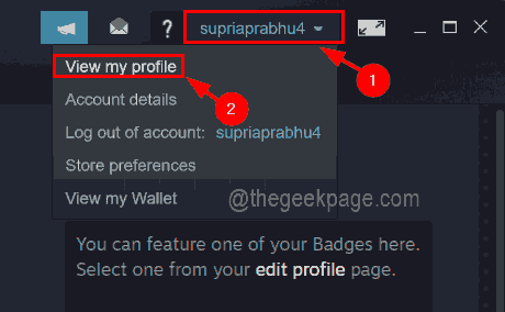 如何在几个简单步骤中找到您的 Steam ID？