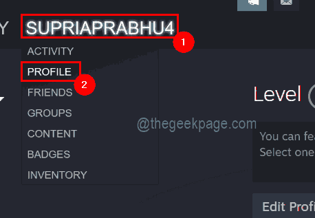 如何在几个简单步骤中找到您的 Steam ID？