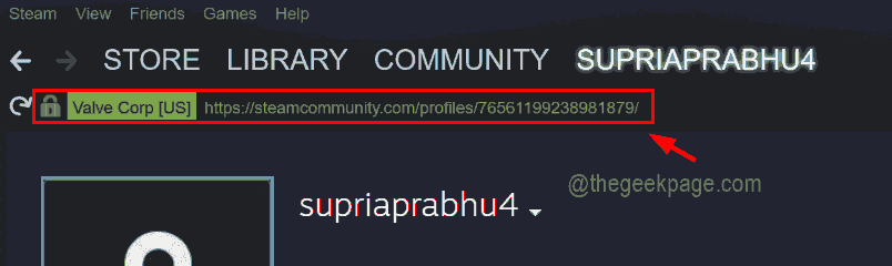如何在几个简单步骤中找到您的 Steam ID？