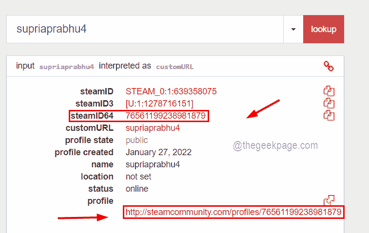 如何在几个简单步骤中找到您的 Steam ID？