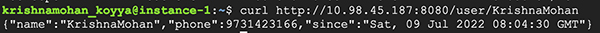 在 Kubernetes 上使用 Flask 构建 Python 微服务的步骤