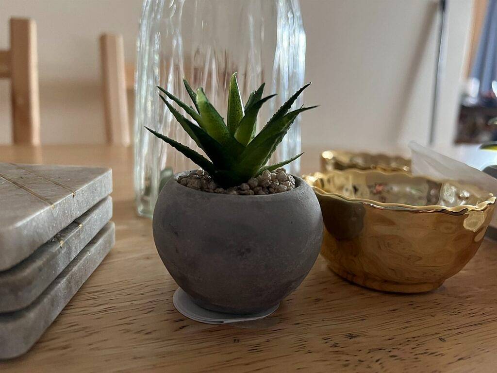 比较OnePlus 10 Pro和Apple iPhone 13 Pro：选择适合你的手机