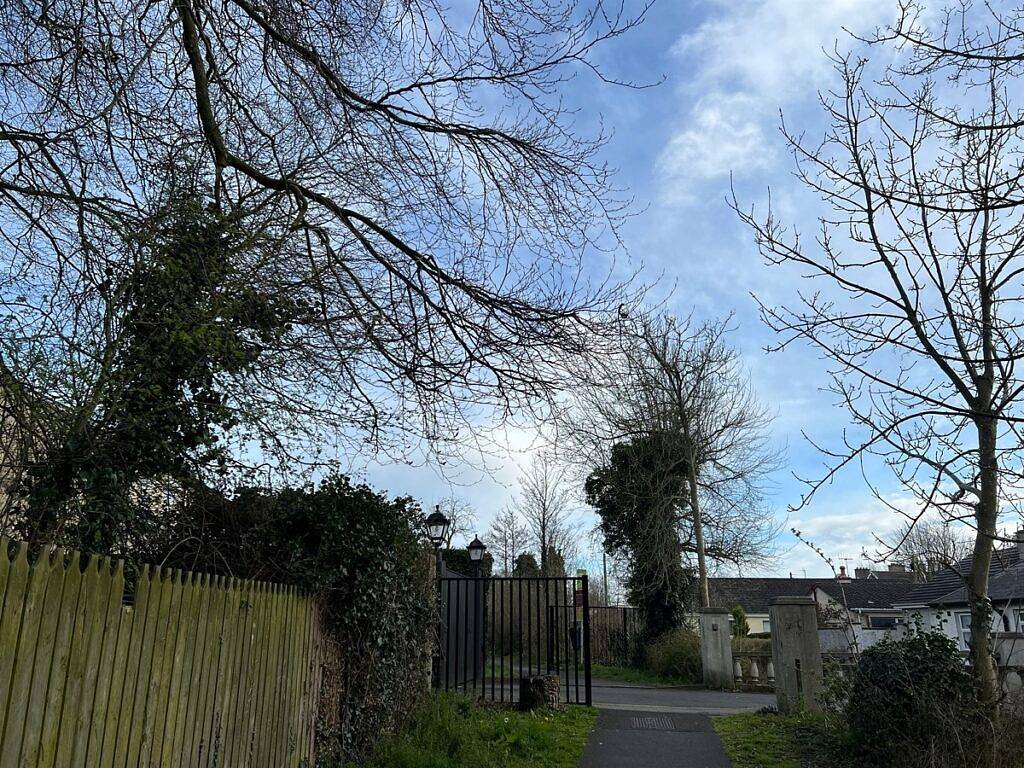 比较OnePlus 10 Pro和Apple iPhone 13 Pro：选择适合你的手机