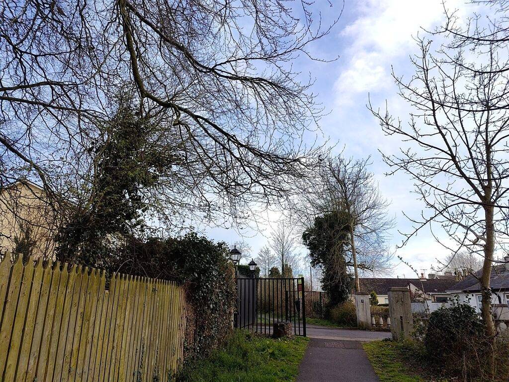 比较OnePlus 10 Pro和Apple iPhone 13 Pro：选择适合你的手机