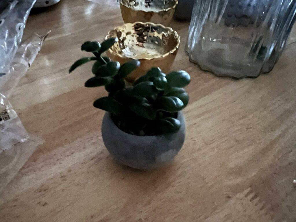 比较OnePlus 10 Pro和Apple iPhone 13 Pro：选择适合你的手机