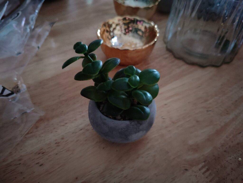 比较OnePlus 10 Pro和Apple iPhone 13 Pro：选择适合你的手机