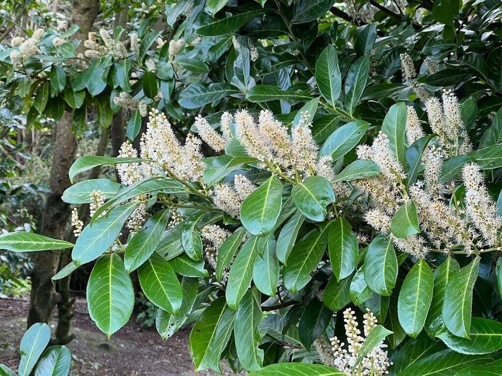 比较OnePlus 10 Pro和Apple iPhone 13 Pro：选择适合你的手机