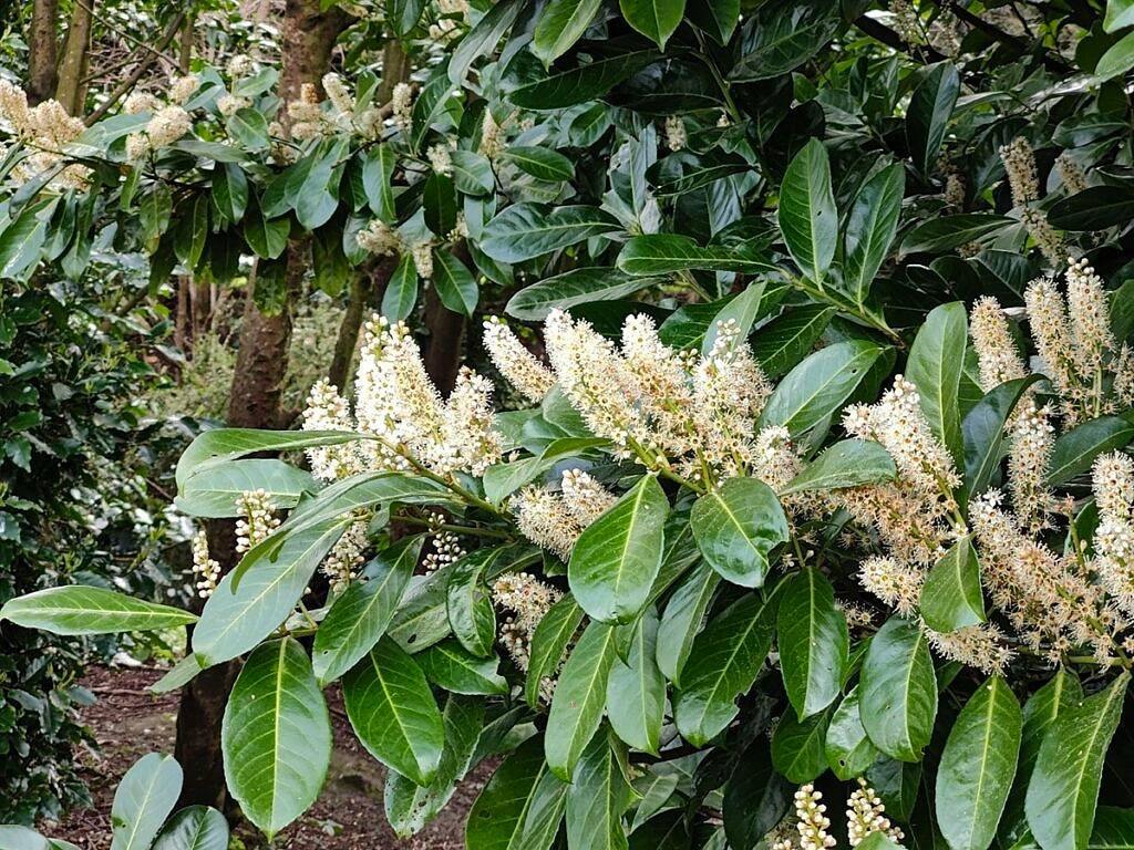 比较OnePlus 10 Pro和Apple iPhone 13 Pro：选择适合你的手机