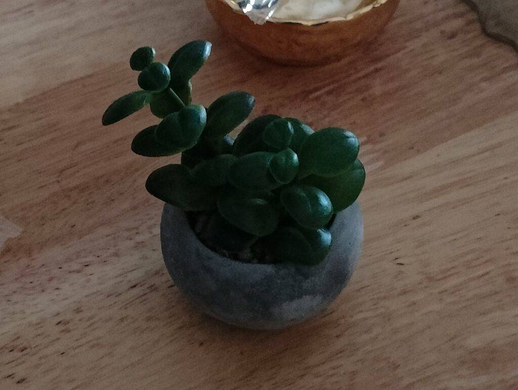 比较OnePlus 10 Pro和Apple iPhone 13 Pro：选择适合你的手机